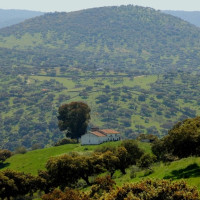 Los motivos por los que los ecologistas de Extremadura rechazan el acuerdo entre PP y VOX