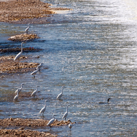 Los embalses de Extremadura siguen muy por encima de los niveles de 2025