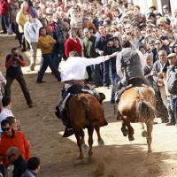 PACMA celebra la suspensión de las carreras de Arroyo de la Luz