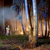 Cuatro focos de incendio intencionados siembran la alarma en Barbaño (BA)