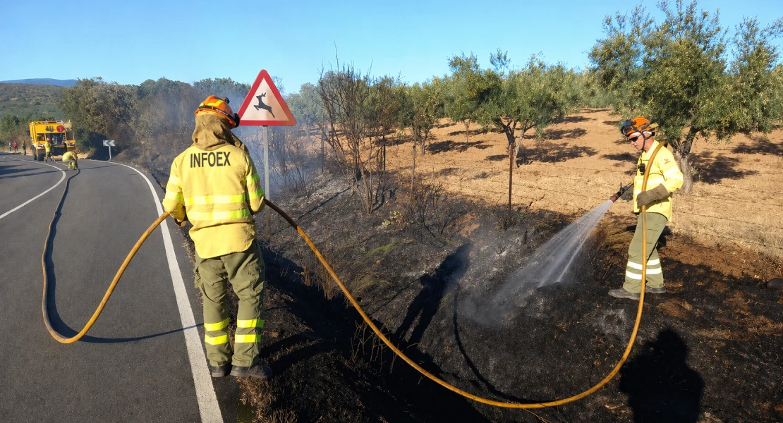 Este fin de semana se examinan los futuros bomberos forestales y agentes del Medio Natural