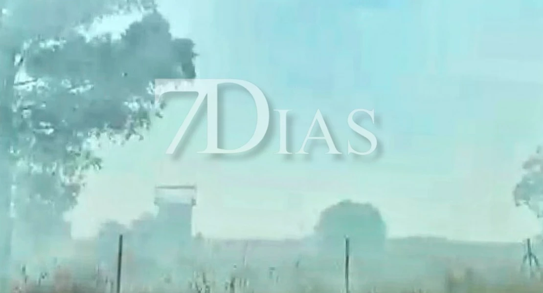 Bomberos de Badajoz trabajan en un incendio forestal cercano a Gévora