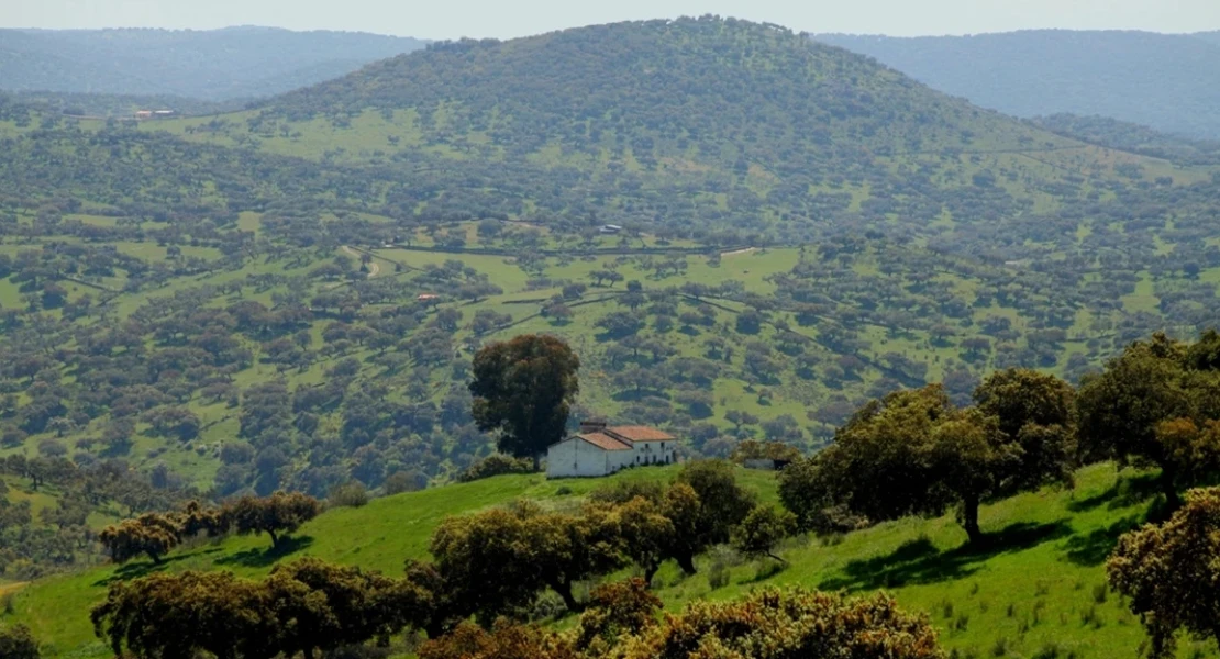 Los motivos por los que los ecologistas de Extremadura rechazan el acuerdo entre PP y VOX