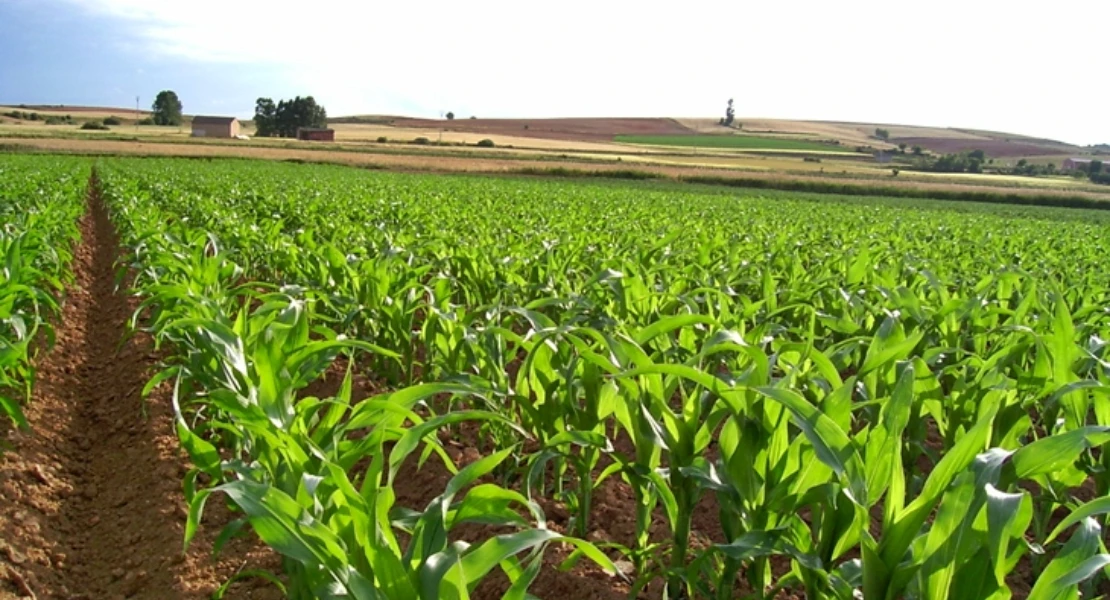 El exceso de lluvias obliga a ampliar el plazo de presentación de la solicitud única de la PAC