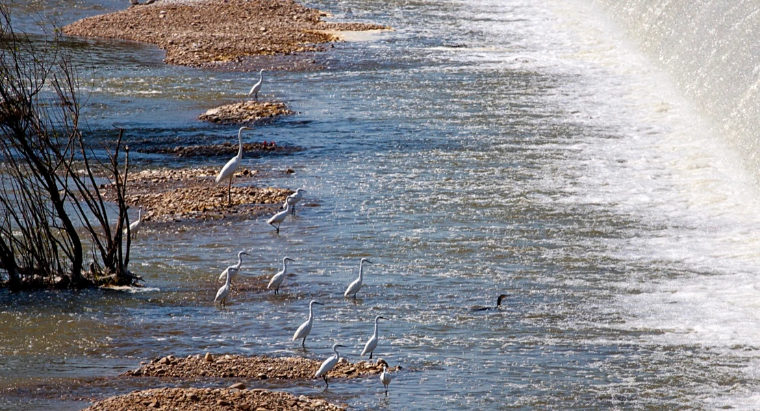 Los embalses de Extremadura siguen muy por encima de los niveles de 2025