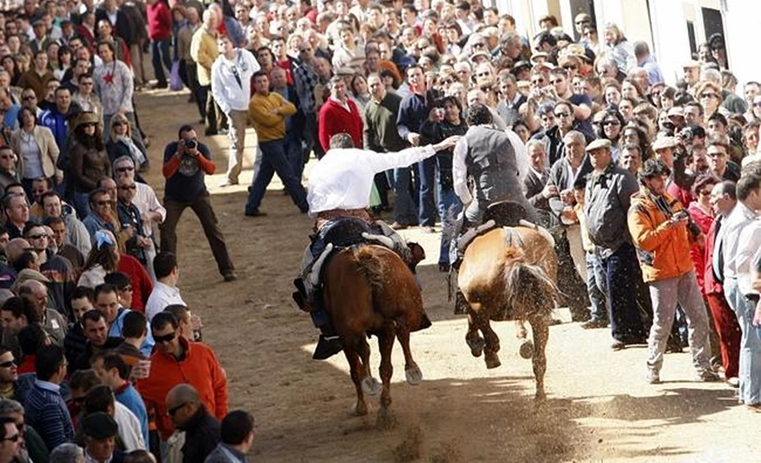 PACMA celebra la suspensión de las carreras de Arroyo de la Luz