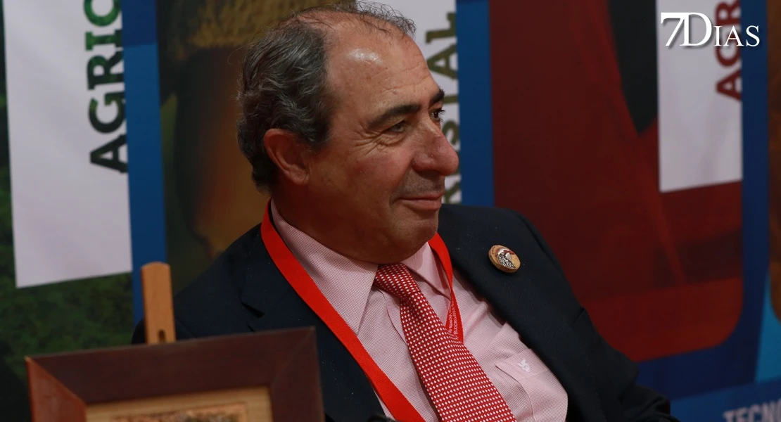 FICOR: una feria internacional dedicada al corcho, el oro de San Vicente de Alcántara