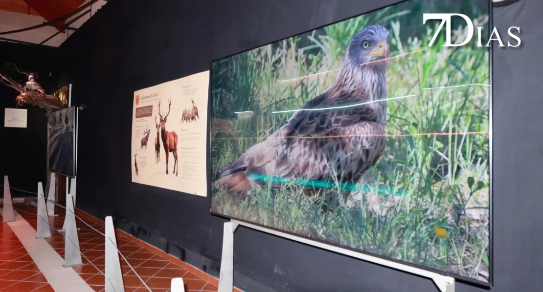 Centro de Interpretación Alas, un lugar mágico lleno de fauna y flora en San Vicente de Alcántara
