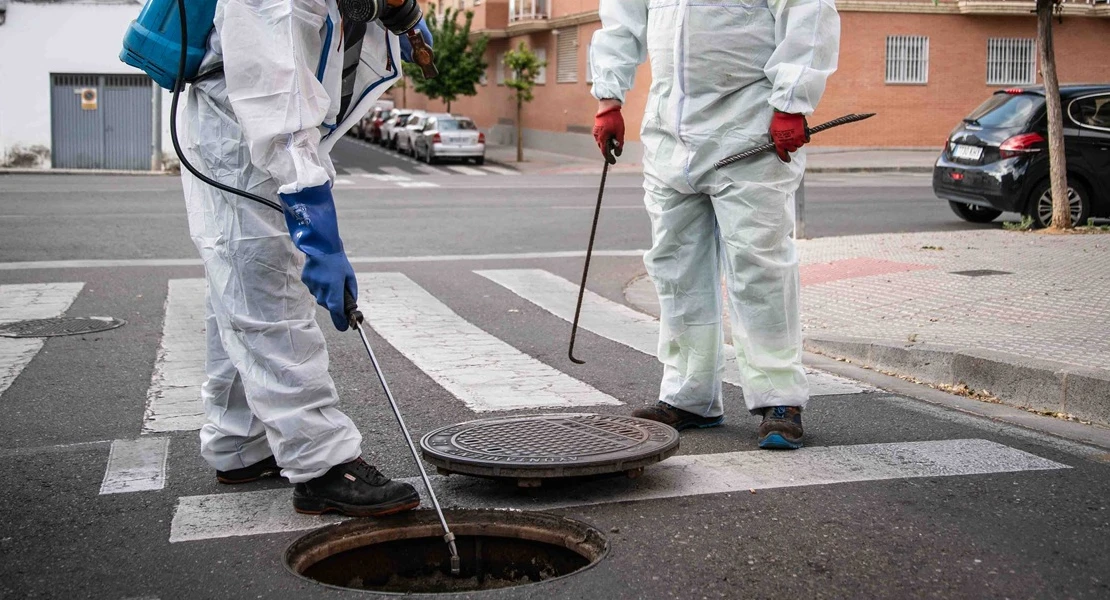 Así está luchando Mérida contra las ratas