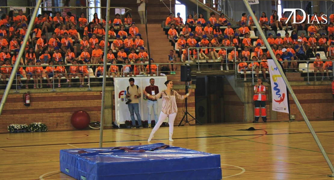 clausura FMD