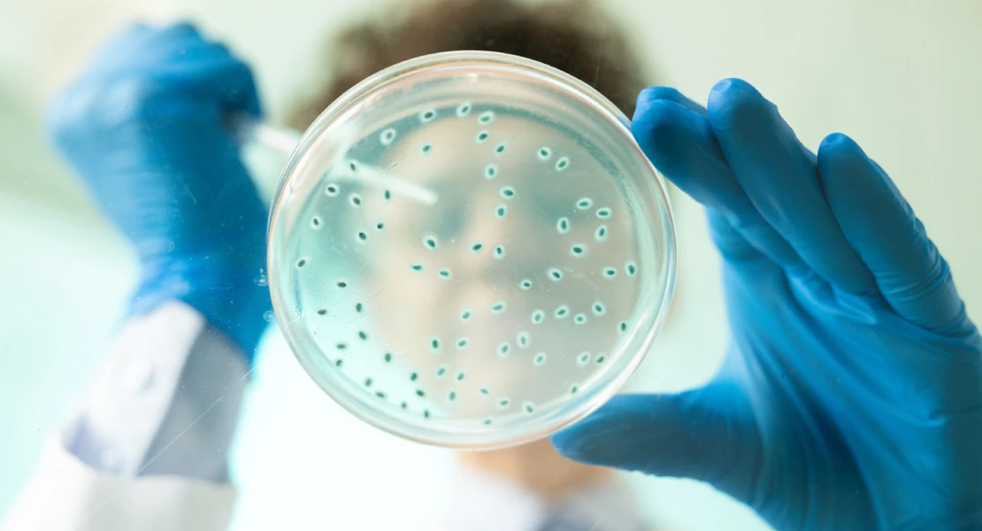 Alerta del riesgo de legionella en nebulizadores al refrescar las terrazas en verano