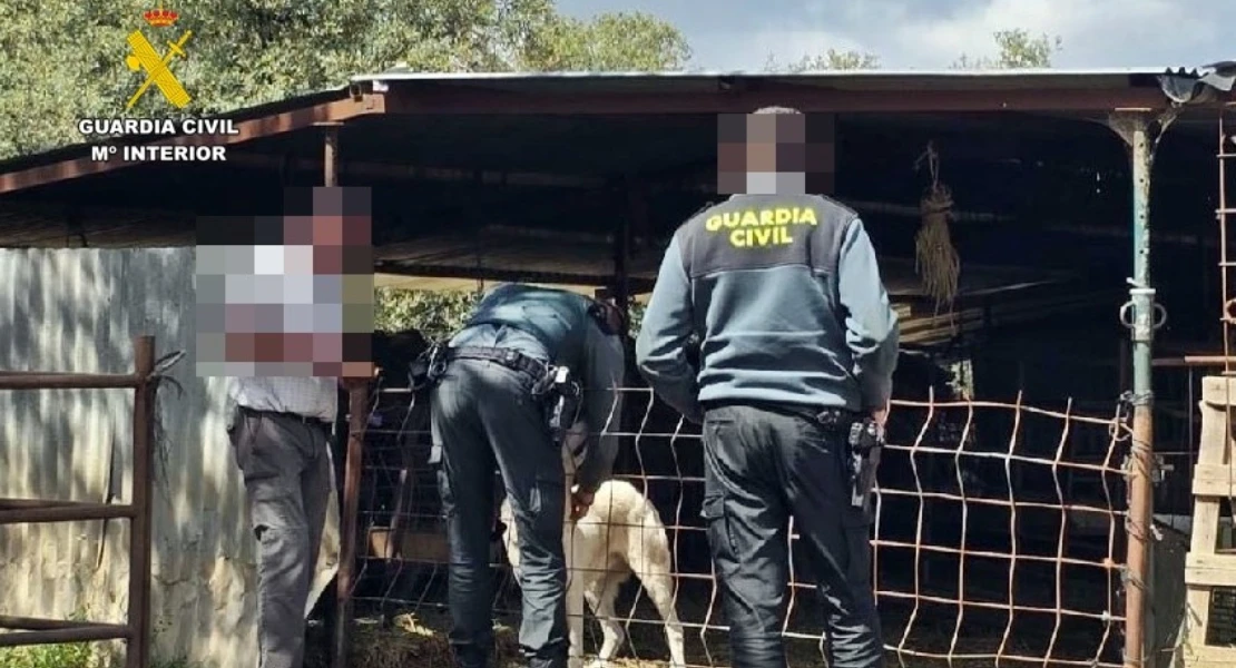 Investigado por maltrato animal un vecino de Fuentes de León (BA)