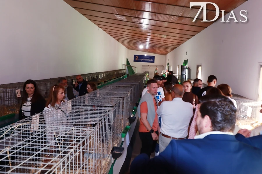 Alconchel inaugura FEMUAL con multitud de actividades y más de 300 cabezas de ganado