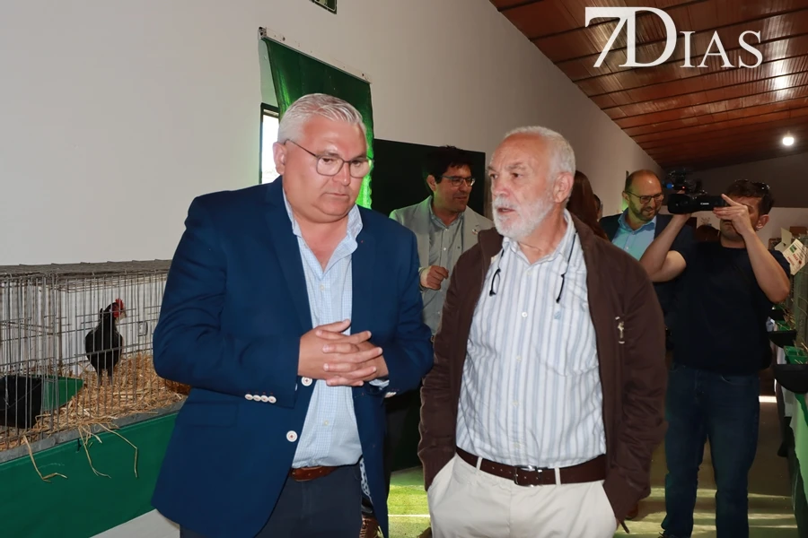 Alconchel inaugura FEMUAL con multitud de actividades y más de 300 cabezas de ganado