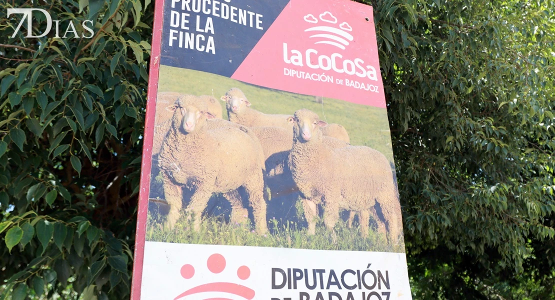 Valverde de Leganés reivindica la tradición en Vive la Trashumancia y la Feria del Queso Artesano