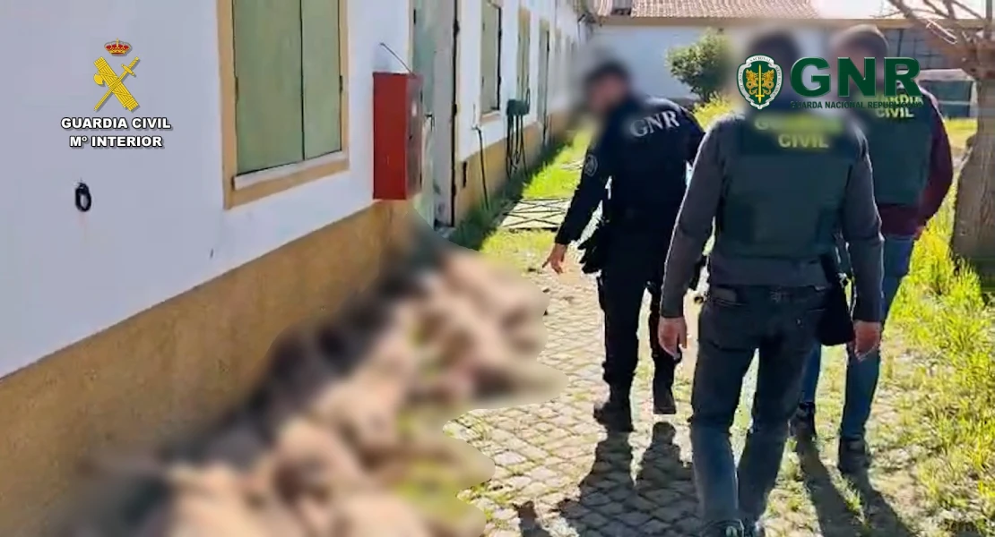 Tres vecinos de Badajoz detenidos por robar ganado que iban a vender en Portugal
