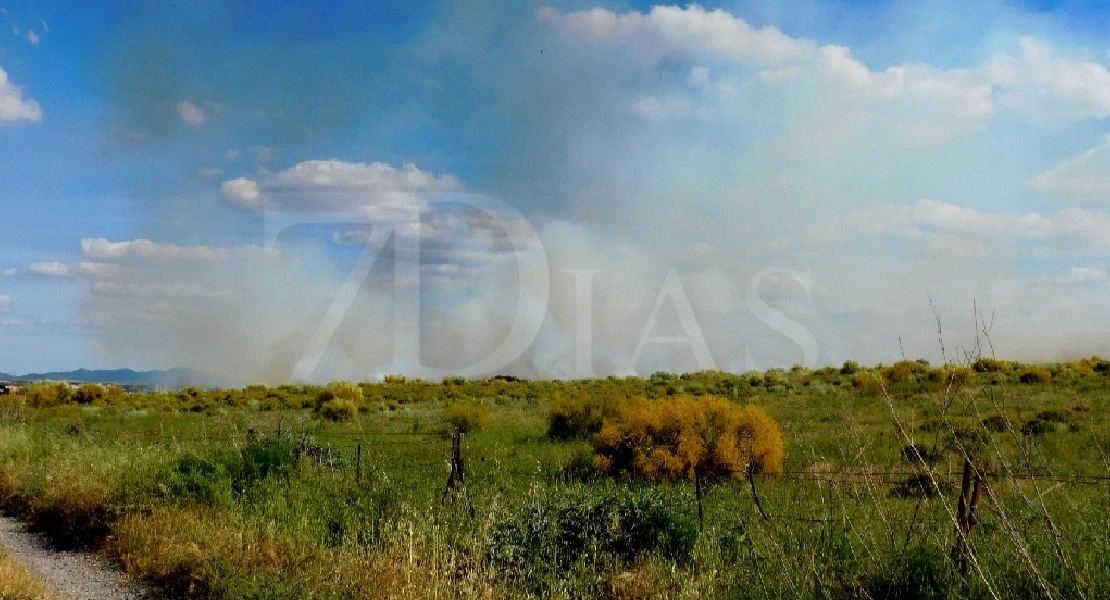 Un incendio forestal urbano calcina varias hectáreas en Mérida