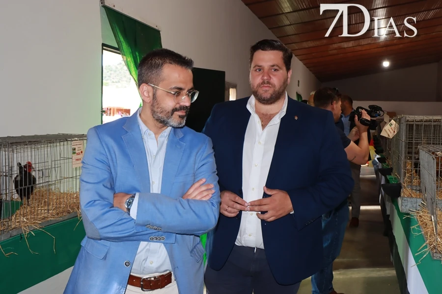 Alconchel inaugura FEMUAL con multitud de actividades y más de 300 cabezas de ganado