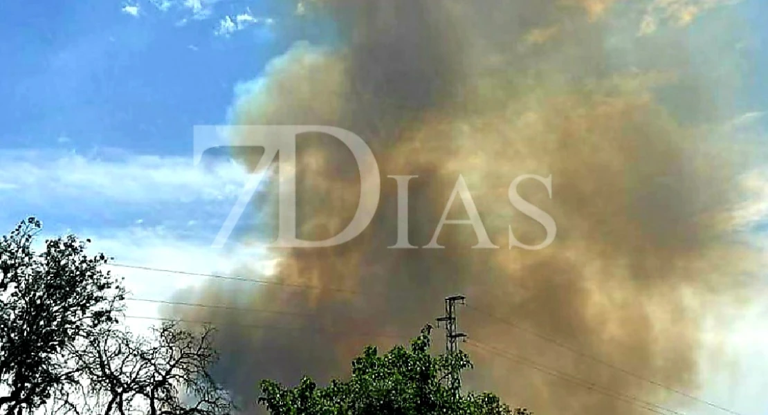 Un amplio dispositivo lucha contra un incendio forestal próximo a Badajoz