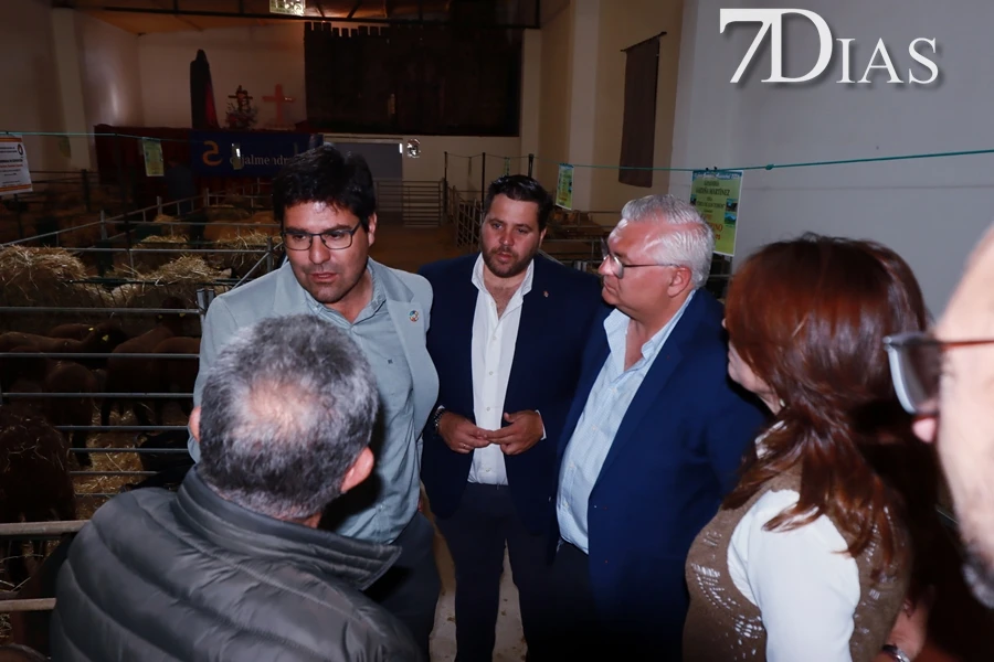 Alconchel inaugura FEMUAL con multitud de actividades y más de 300 cabezas de ganado