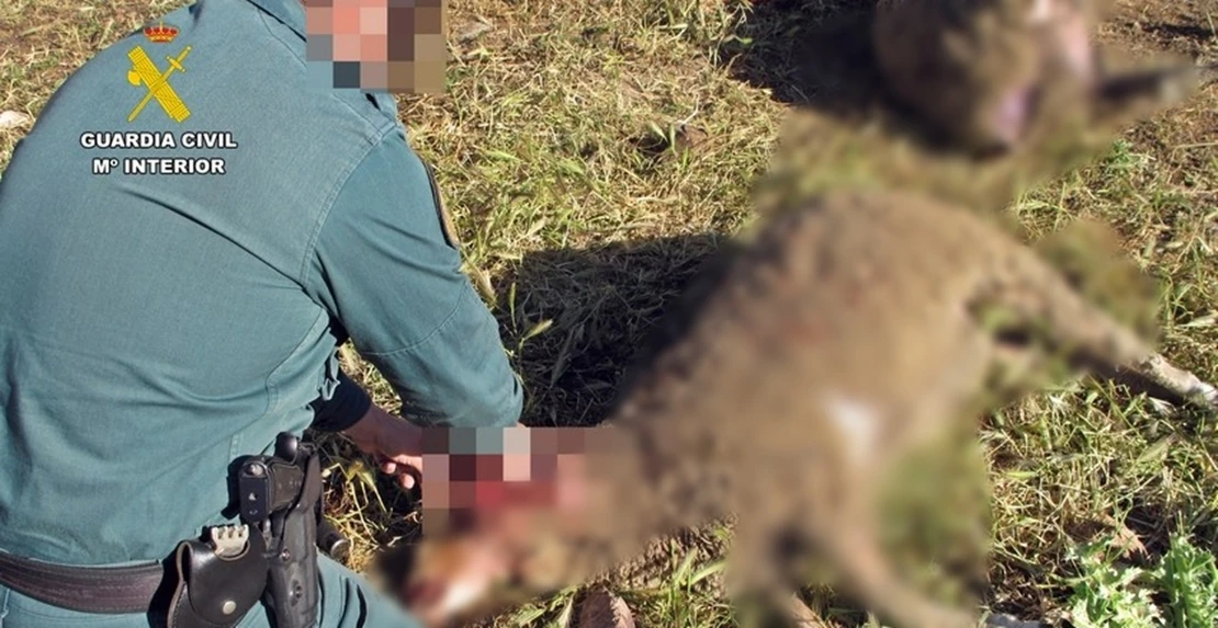 Investigan a un pacense por maltrato animal