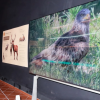 Centro de Interpretación Alas, un lugar mágico lleno de fauna y flora en San Vicente de Alcántara