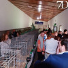 Alconchel inaugura FEMUAL con multitud de actividades y más de 300 cabezas de ganado