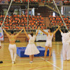 clausura FMD