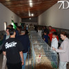Alconchel inaugura FEMUAL con multitud de actividades y más de 300 cabezas de ganado