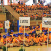 clausura FMD