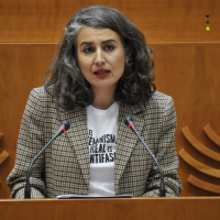 De Miguel critica que las medidas de vivienda de la Junta "benefician a los de siempre"