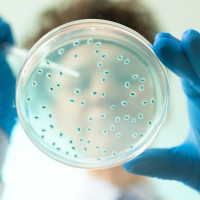 Alerta del riesgo de legionella en nebulizadores al refrescar las terrazas en verano