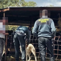 Investigado por maltrato animal un vecino de Fuentes de León (BA)