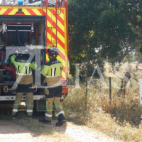Nuevo incendio forestal junto a la N-523 cerca de Badajoz