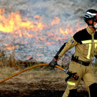 Un incendio forestal en Novelda moviliza helicóptero, bomberos y maquinaria pesada