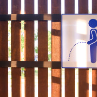 Somos Cáceres propone una red de aseos públicos para la ciudad