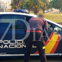 Un incendio forestal urbano calcina varias hectáreas en Mérida