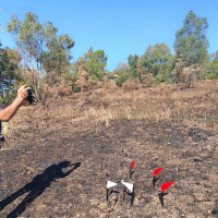 Investigados cuatro posibles culpables de varios incendios forestales en Extremadura