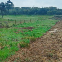 Cazadores y conservacionistas contra el glifosato: “Está destruyendo todo”