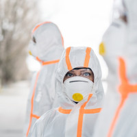 OMS: “No hay razones para que el brote de hantavirus se convierta en una epidemia”