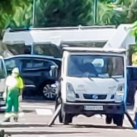 Denuncian al Ayto. de Mérida ante el SEPRONA por la tala de árboles en época de cría