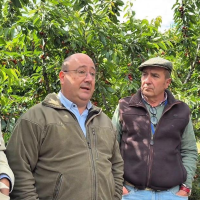 La Junta evalúa los daños provocados por las borrascas en la cereza del Valle del Jerte