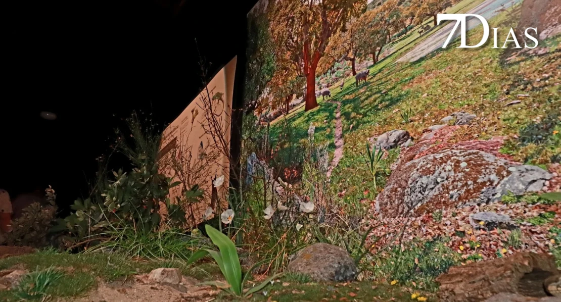 Centro de Interpretación Alas, un lugar mágico lleno de fauna y flora en San Vicente de Alcántara