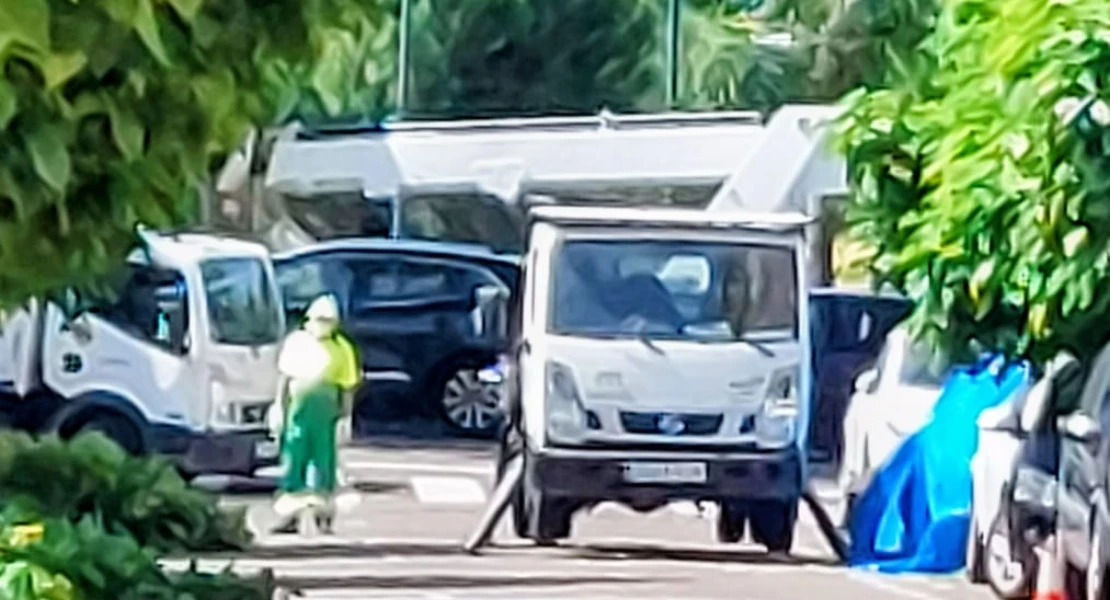 Denuncian al Ayto. de Mérida ante el SEPRONA por la tala de árboles en época de cría