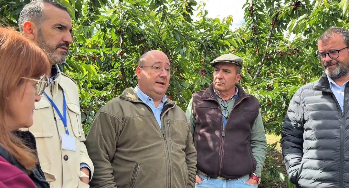 La Junta evalúa los daños provocados por las borrascas en la cereza del Valle del Jerte