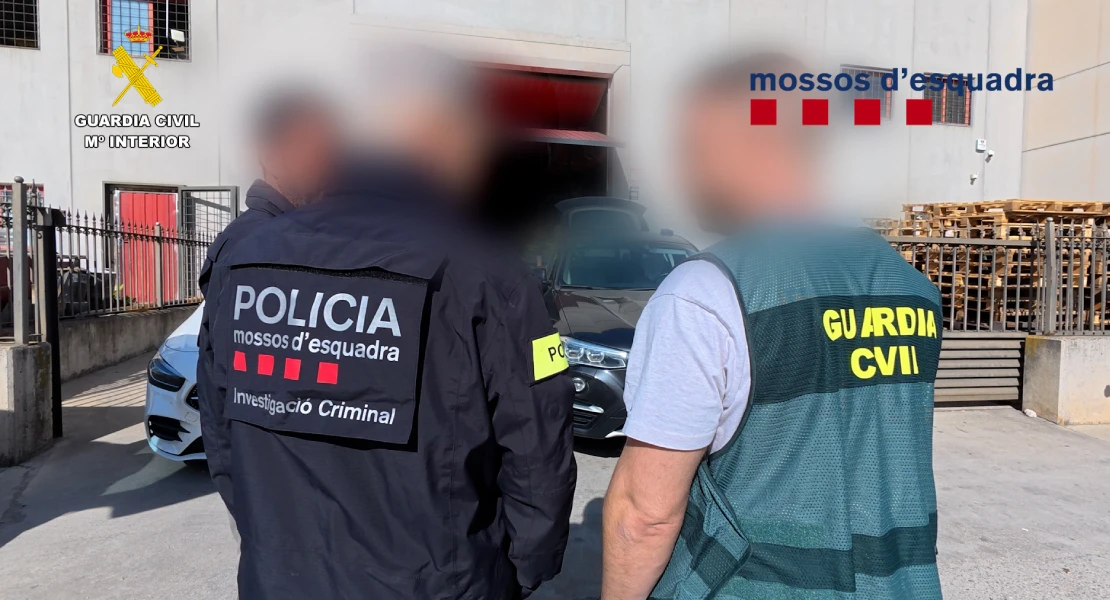 Cae una red que suministraba material para grandes plantaciones de marihuana