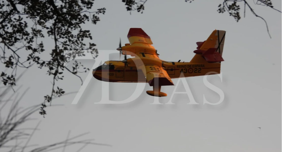 Imágenes del incendio en La Codosera: así está la situación