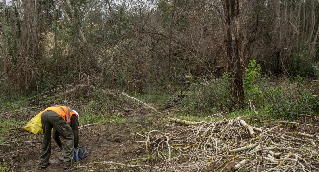 La CHG destinará más de 400.000 € a saneamiento forestal en canales y embalses del Guadiana