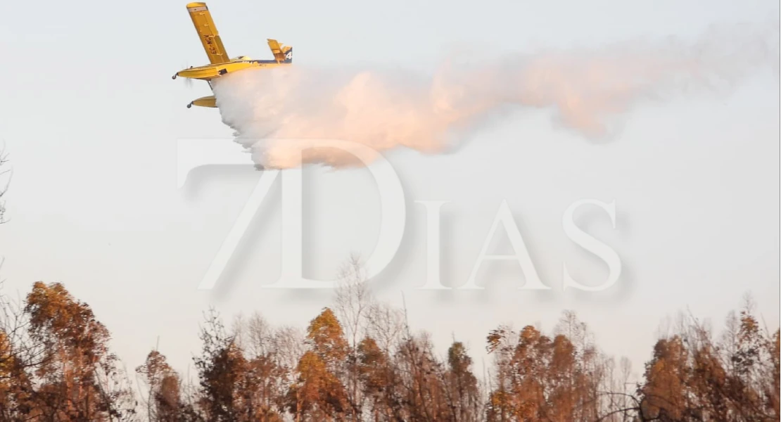 Imágenes del incendio en La Codosera: así está la situación