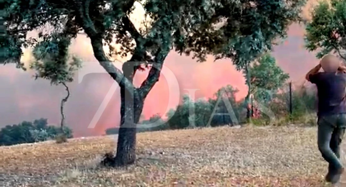 Imágenes del incendio en La Codosera: así está la situación